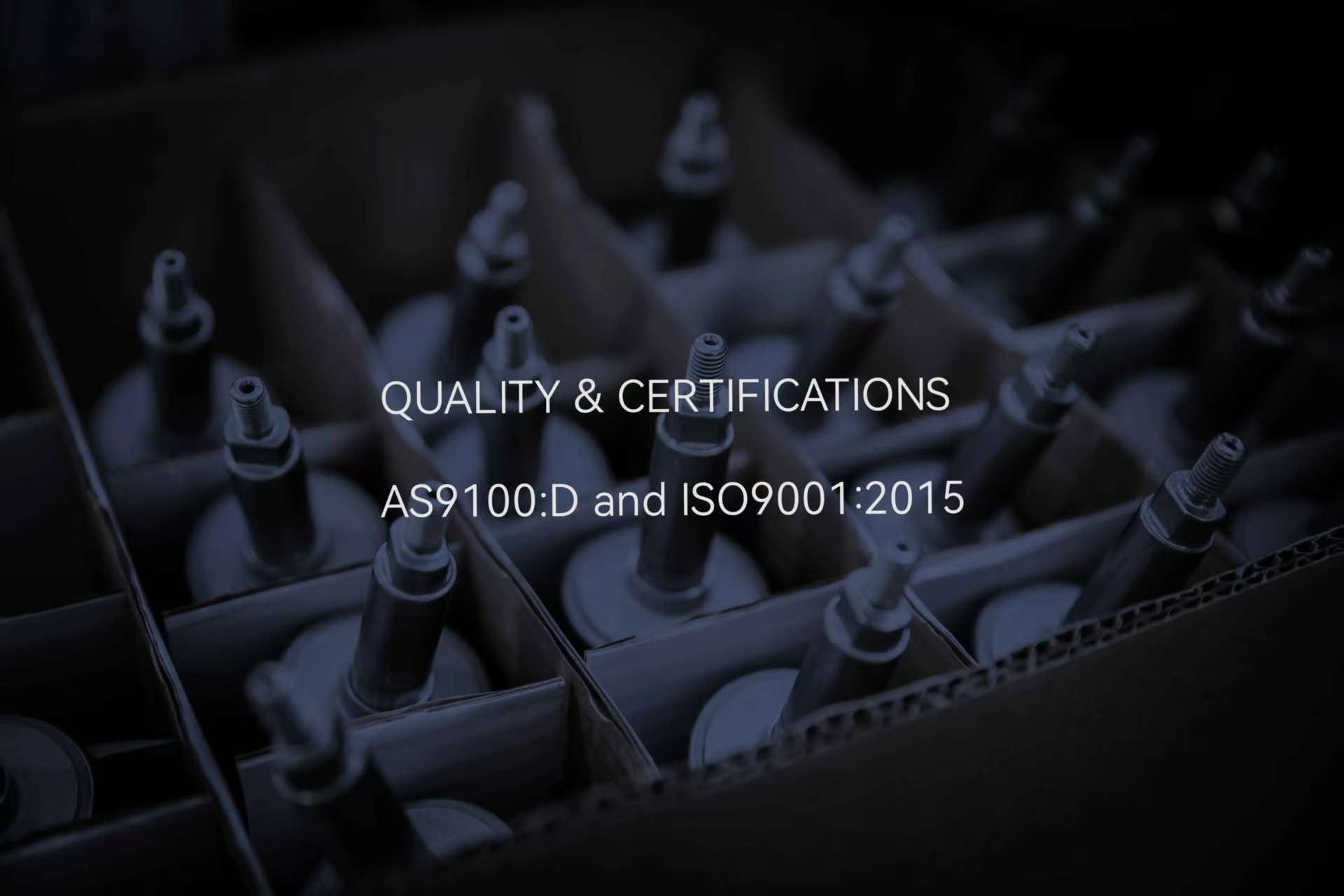 3a4aa18d251929813fb17374e928b8b5